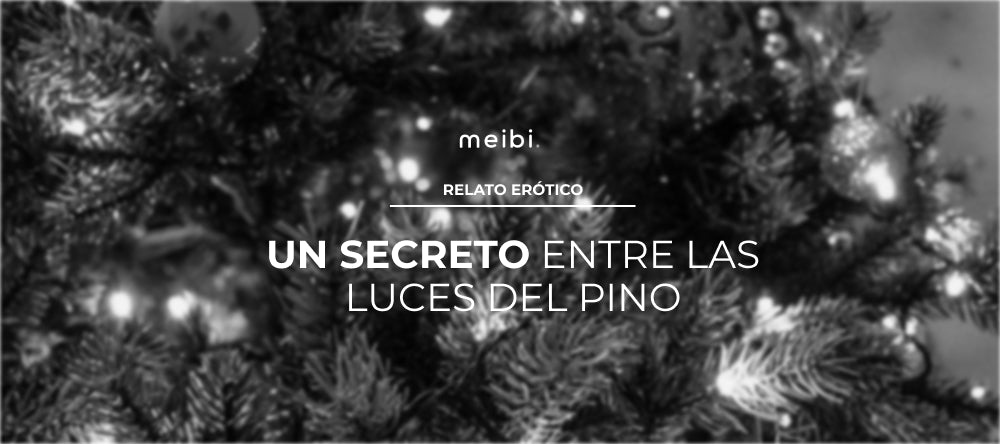 Un secreto entre las luces del pino
