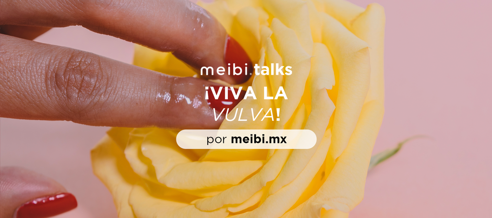 partes-vulva-vagina-meibitalks-sexualidad-sexed-educacion-sexual