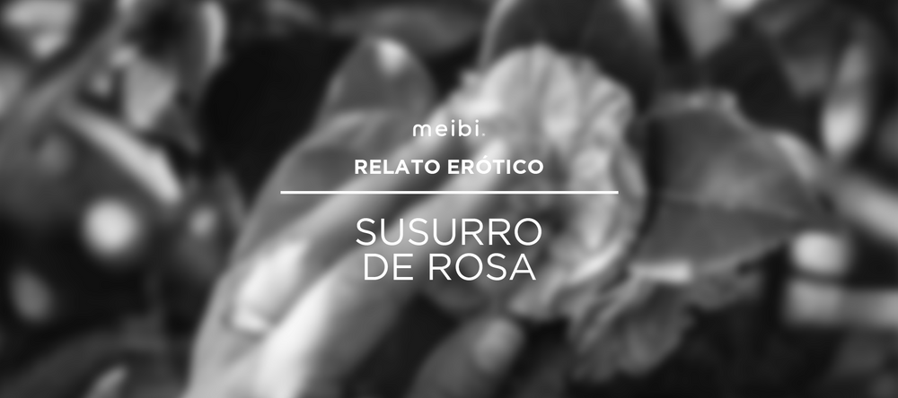 susurro-de-rosa-relato-erotico-meibi-juguetes-sexuales-banner
