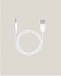 Cargador de juguetes sexuales