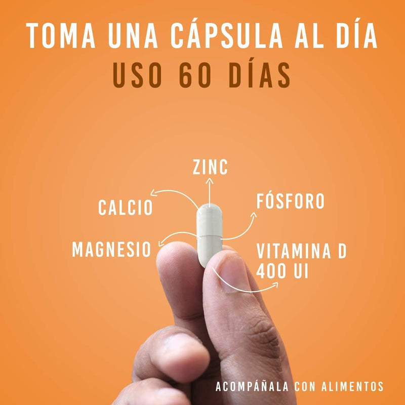 lifeed capsulas vitamina d